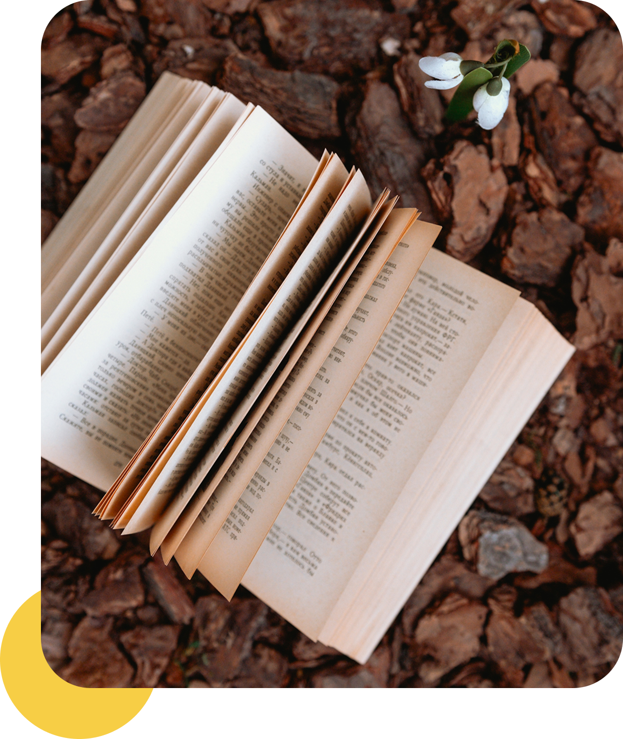 Open book on bark with white flowers.