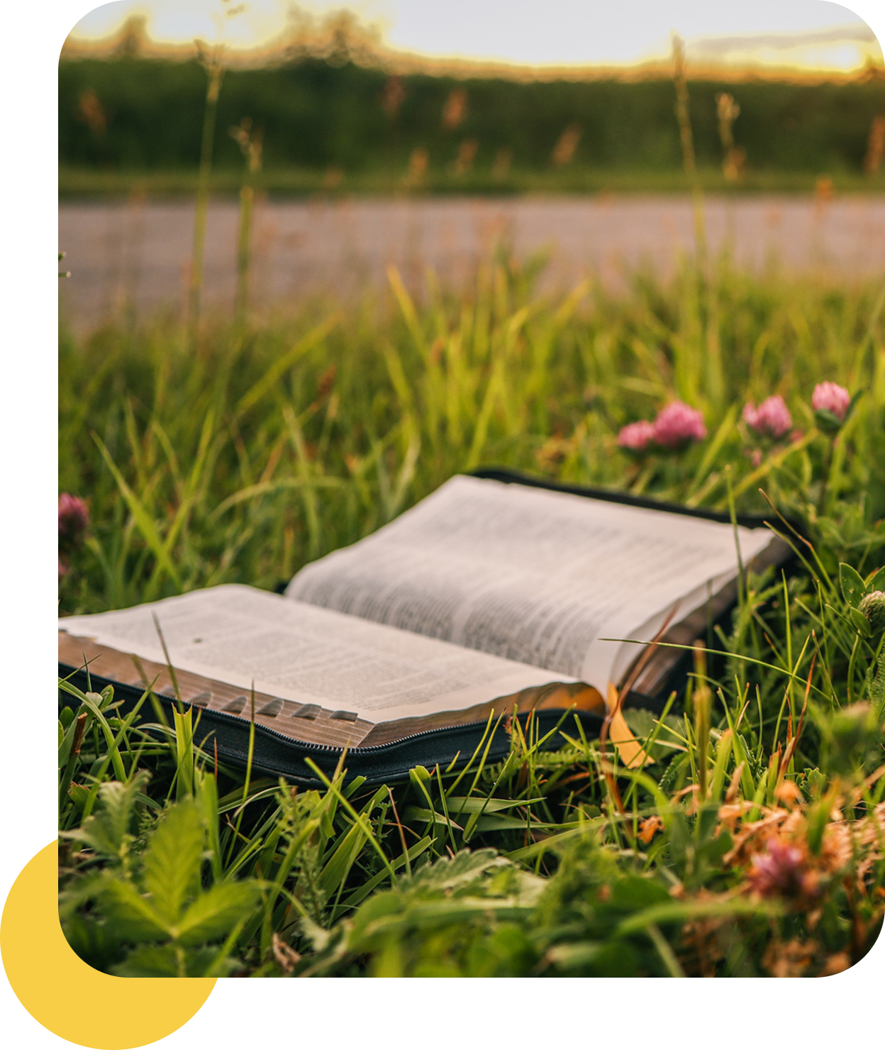 Open book lying on grass at sunset.