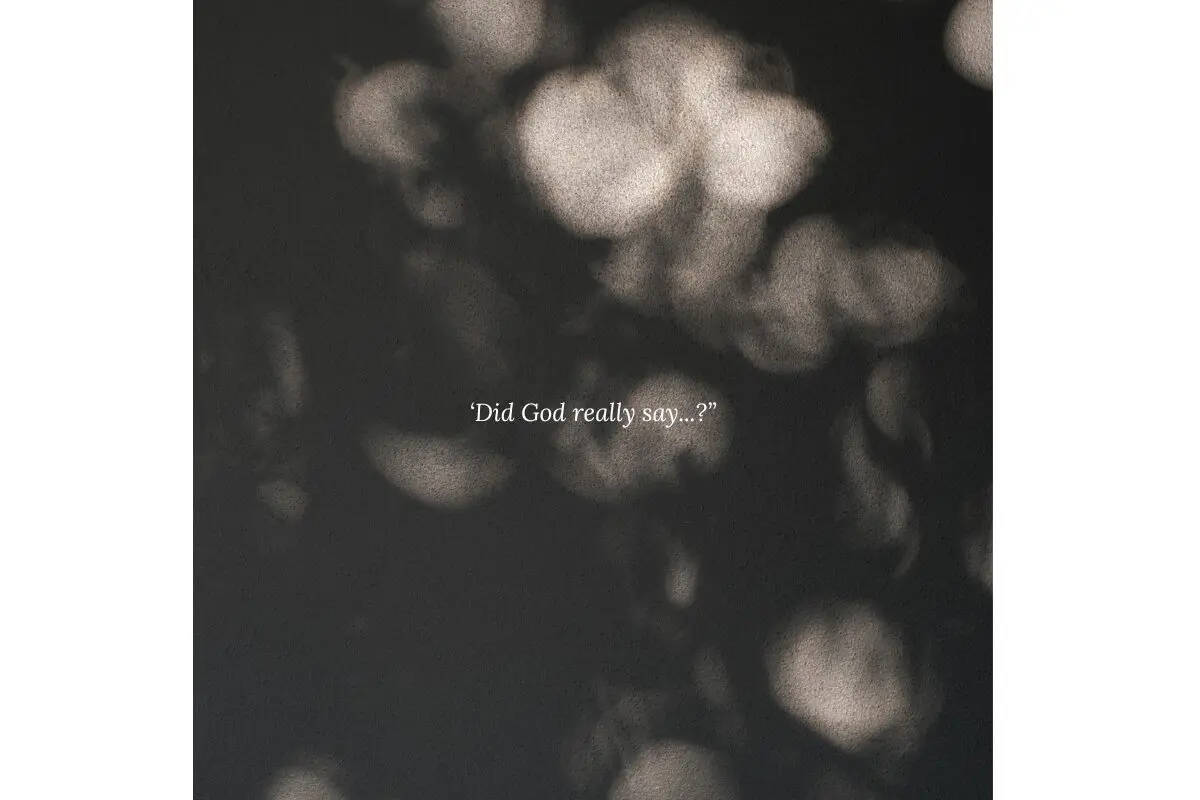 ‘Did God really say...” (1200 x 800 px)