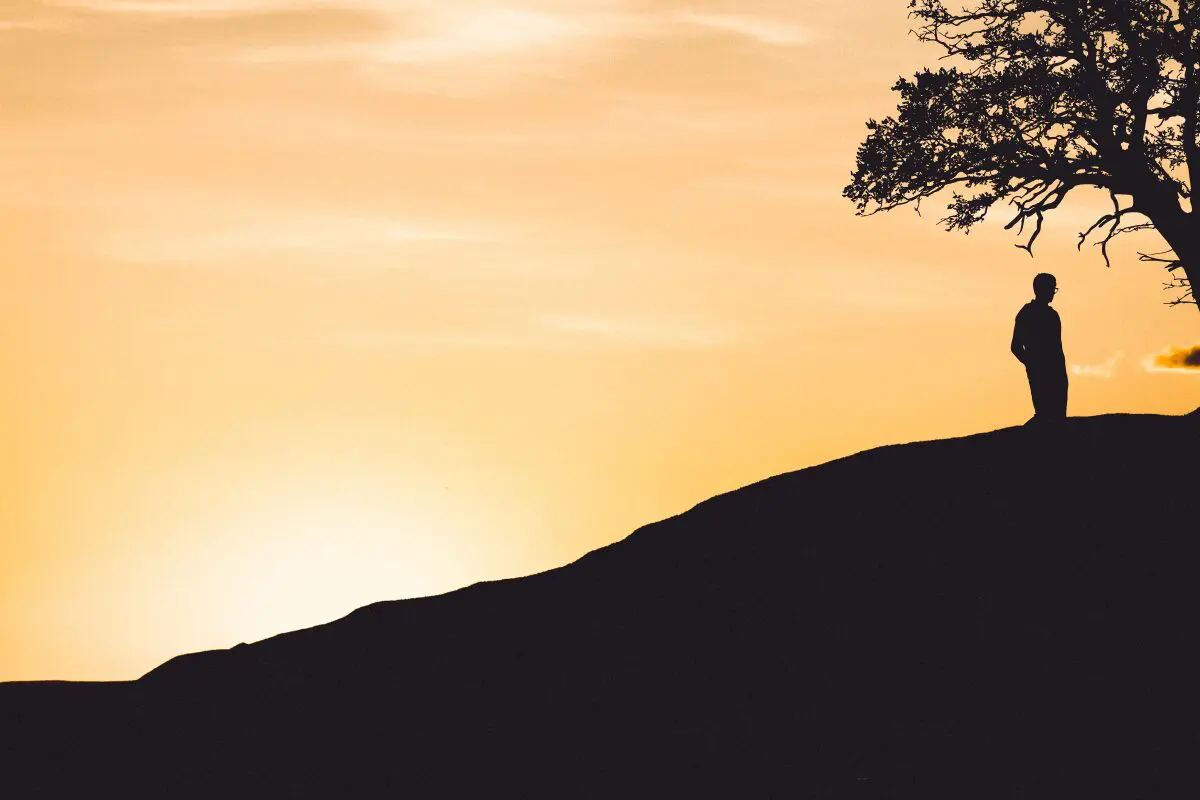 Untitled (1200 x 800 px)-2