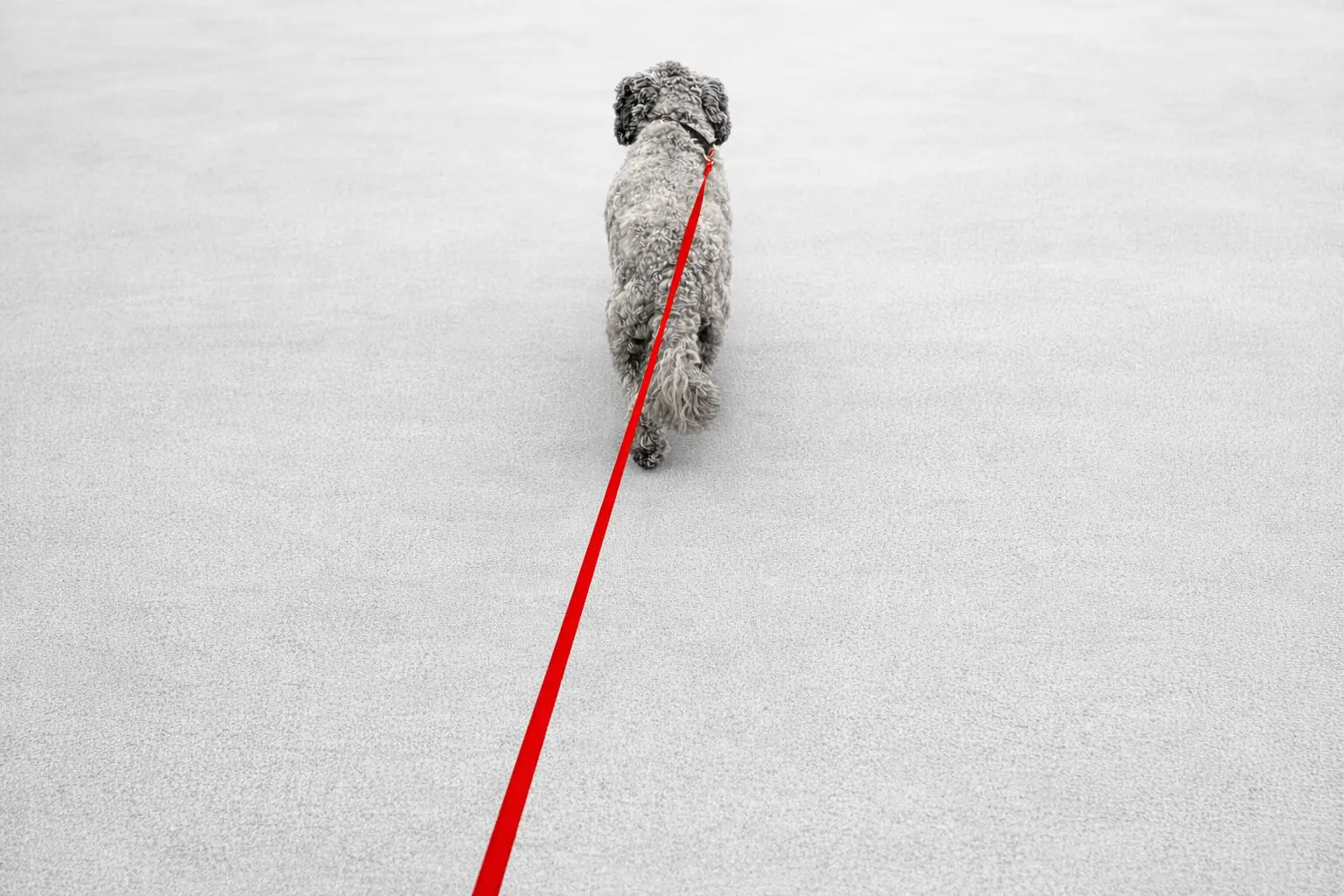 ChatGPT Image Mar 2, 2026, 08_01_03 PM