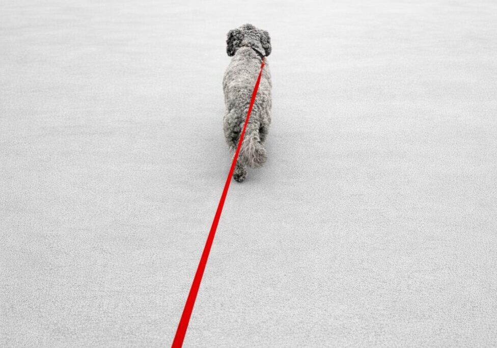 ChatGPT Image Mar 2, 2026, 08_01_03 PM