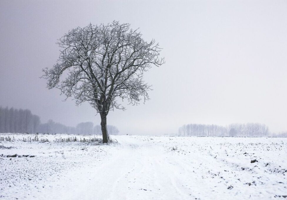 White Hello Winter Instagram Post (1200 x 800 px)