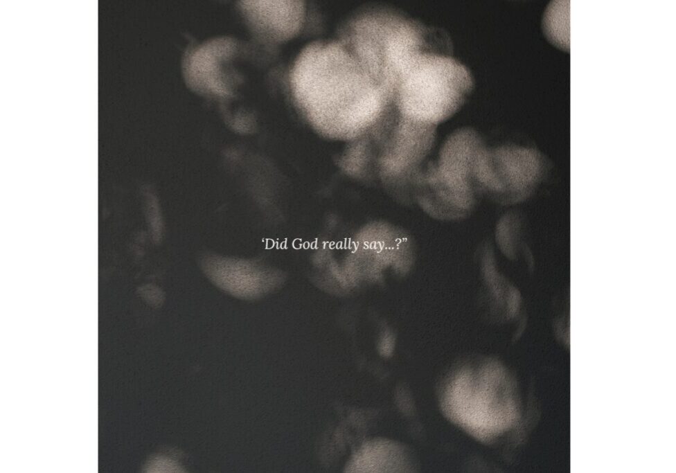 ‘Did God really say...” (1200 x 800 px)